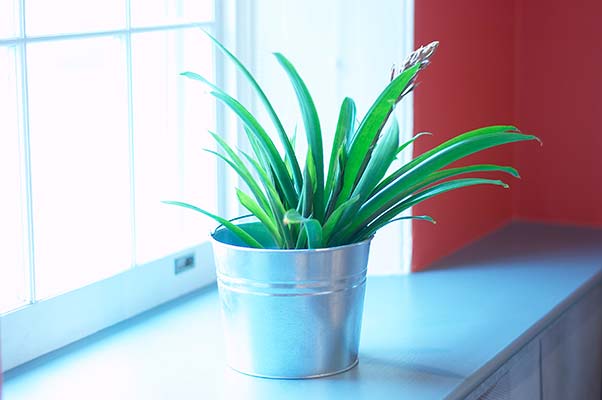 5 Fresh Ways To Make Your Home Feel Like New