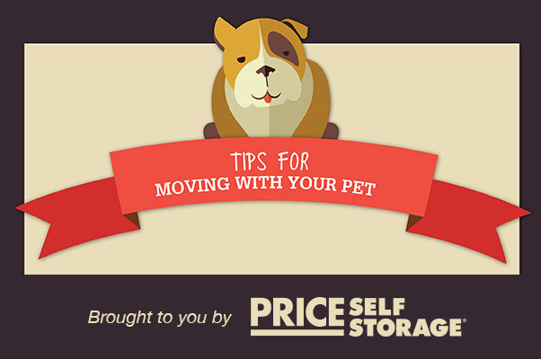 INFOGRAPHIC: Tips for Moving With Pets