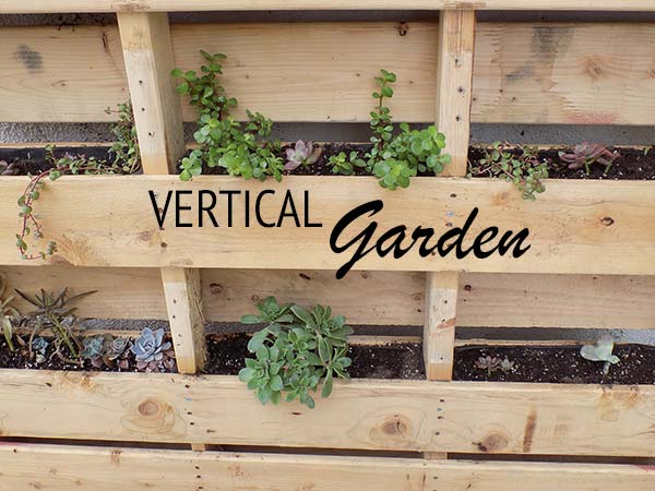 Make Your Own Pallet Vertical Garden!