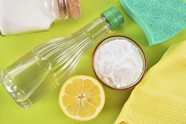 Natural cleaning ingredients: salt, vinegar, baking soda and lemon.