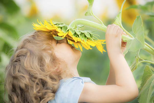 12 Ways to Celebrate Earth Day