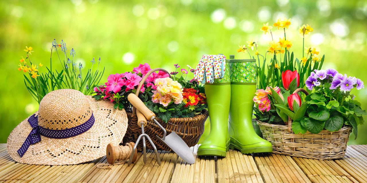11 DIY Gardening Tips for All Seasons