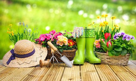 11 DIY Gardening Tips for All Seasons