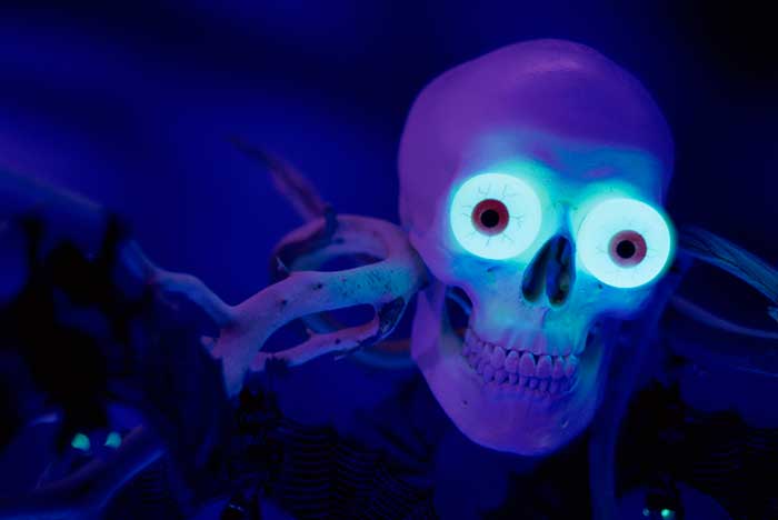 Creepy fake skull with bulging prop eyes backlit with blue light for Halloween decoration