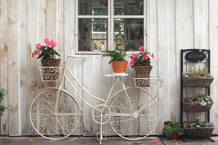 Decorative antique bicycle painted white with handle bar basket and rear basket filled with potted flowers in front of old wooden shed