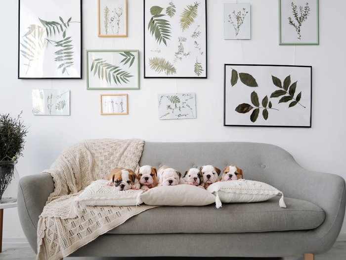 14 Tips For Hanging Pictures And Organizing Wall Art Self Storage - How To Hang Picture Groupings On A Wall 14 Tips For Hanging Pictures And Organizing Wall Art Self Storage - How To Hang Picture Groupings On A Wall