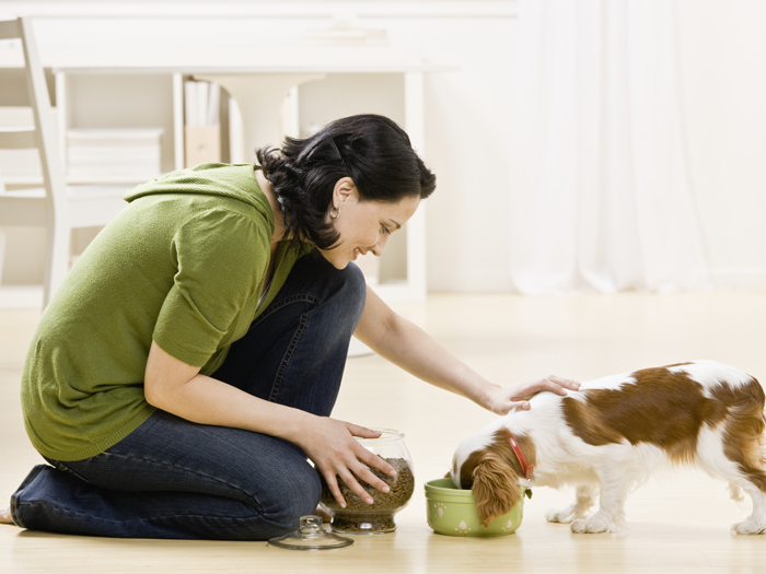Woman petting dog while it eats food from bowl