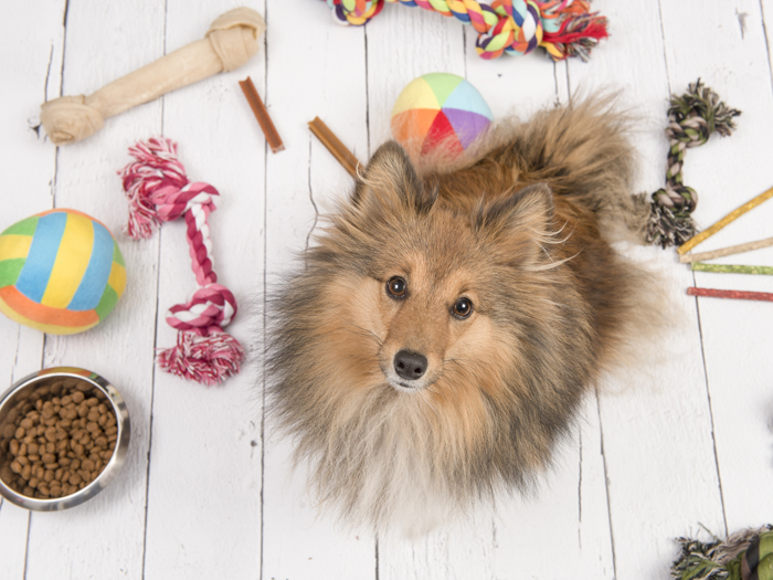 17 Tips on How to Organize Pet Supplies