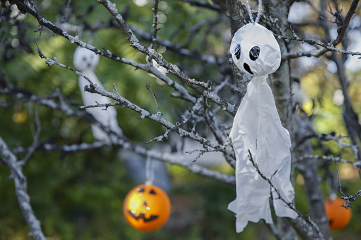 halloween background. Ghosts and Jack O’ Lanterns on the branches. copy space for your text