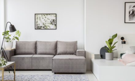 12 Professional Home Staging Tips for Extreme Business Growth