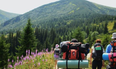 What to Pack for Hiking