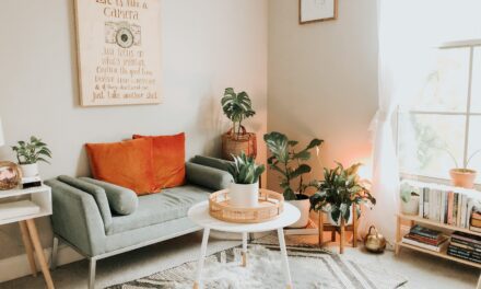Apartment Living Room Decor Ideas