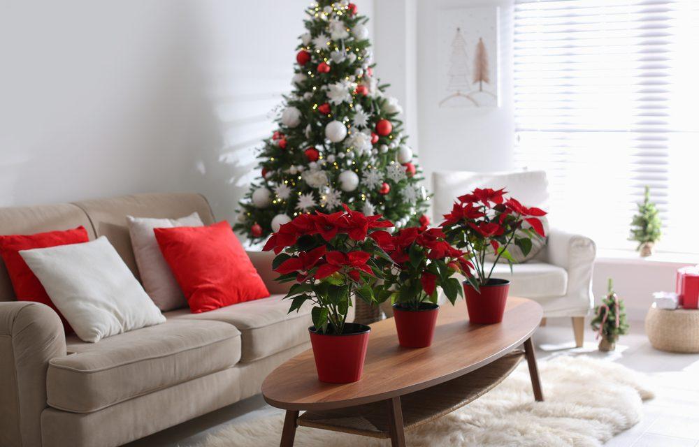 Decluttering For the Holidays: 5 Tips