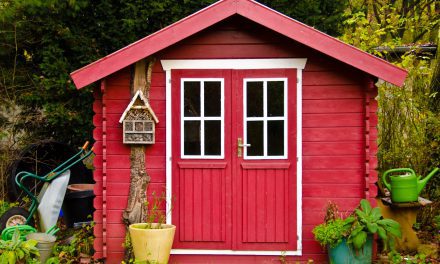 Building a Small Storage Shed vs. Renting a Storage Unit