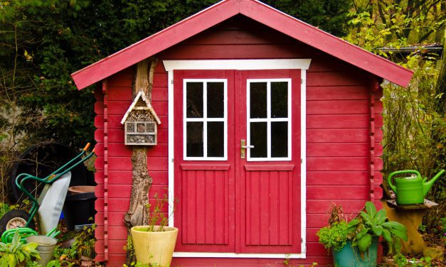 Building a Small Storage Shed vs. Renting a Storage Unit