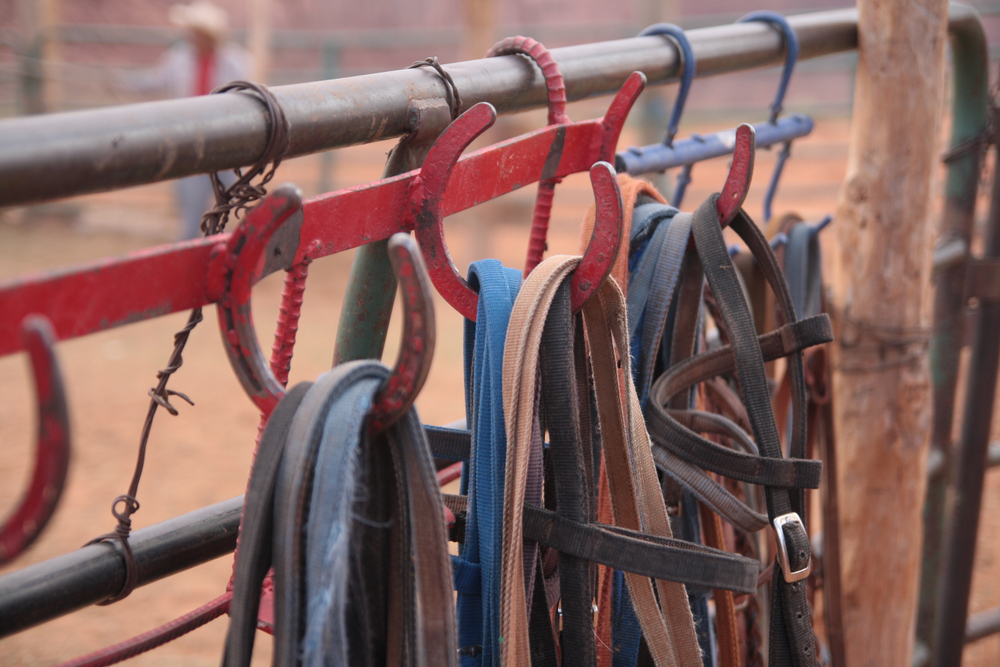 tack hooks