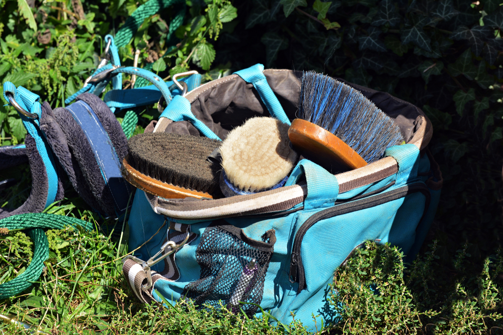 grooming tote