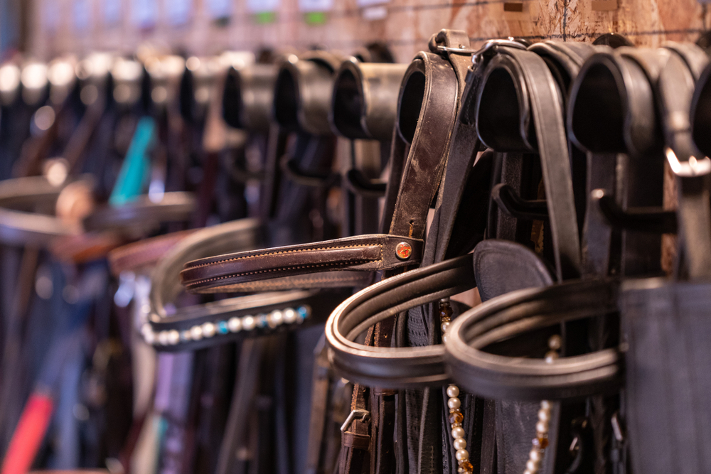 bridle hooks
