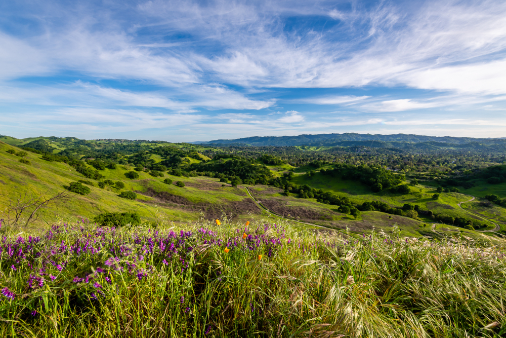 mount diablo state park