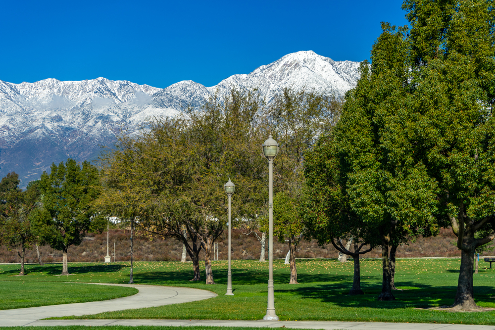 park with white mountains in the background