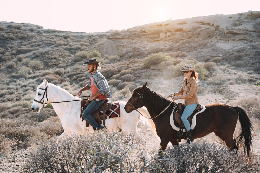 horse town