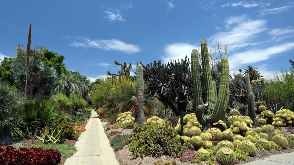 Los Angeles County Arboretum and Botanic Garden