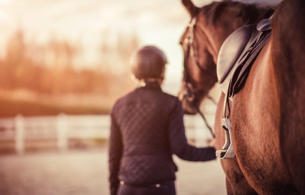 The Best Ways To Store Your Equestrian Gear