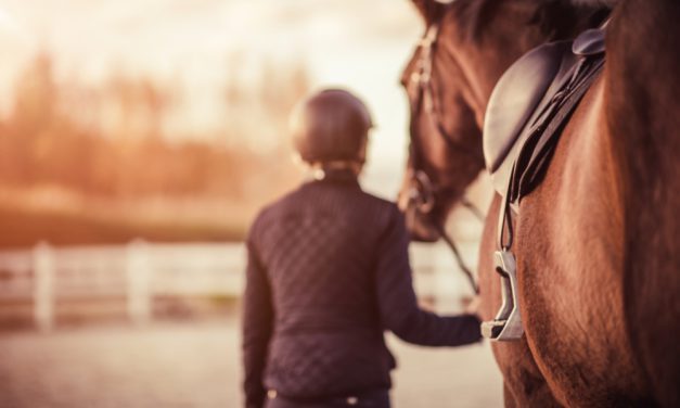 The Best Ways To Store Your Equestrian Gear