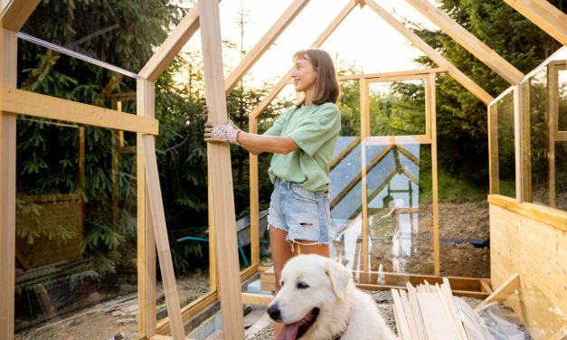 Making Space for Change: Your Guide to Stress-Free Summer Renovations with Self-Storage
